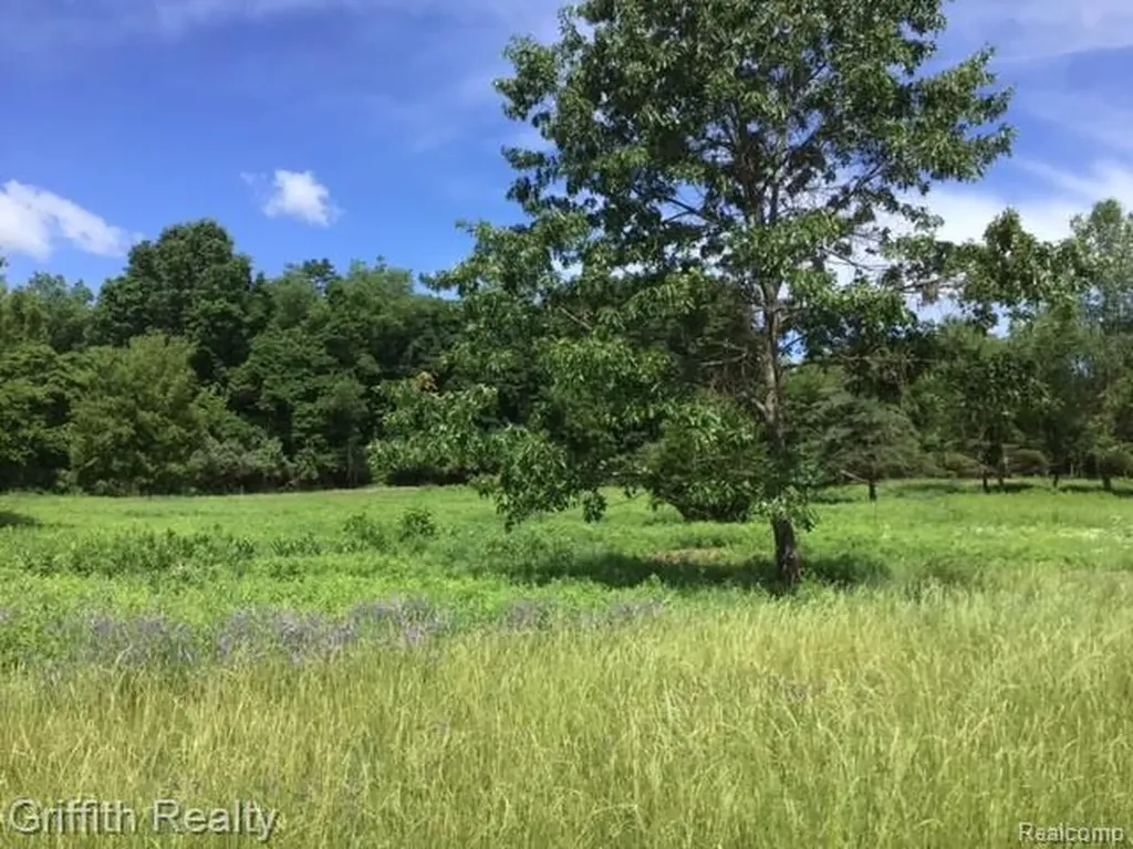 Parcel 1 E Coon Lake Road Genoa Township MI 48843