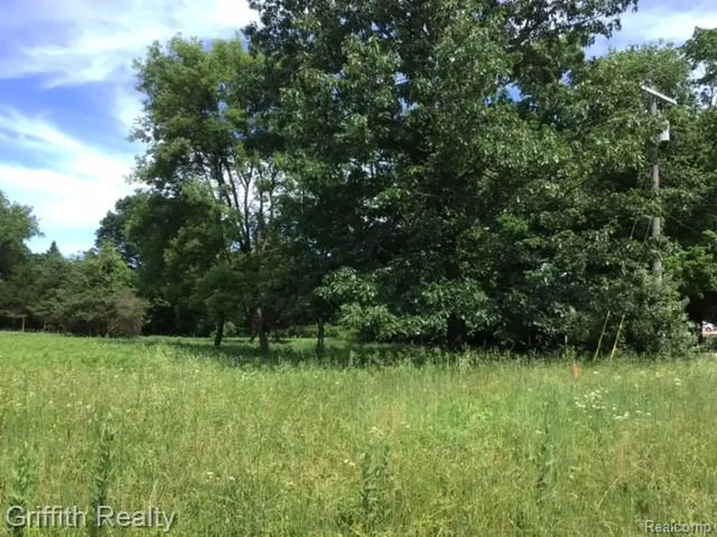 Parcel 1 E Coon Lake Road Genoa Township MI 48843