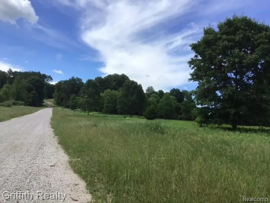 Parcel 1 E Coon Lake Road Genoa Township MI 48843