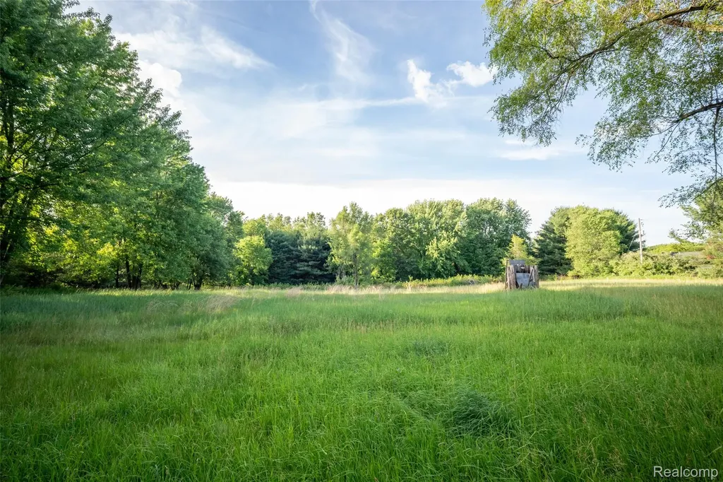 13882 Curtis Road Grass Lake Charter Township MI 49240