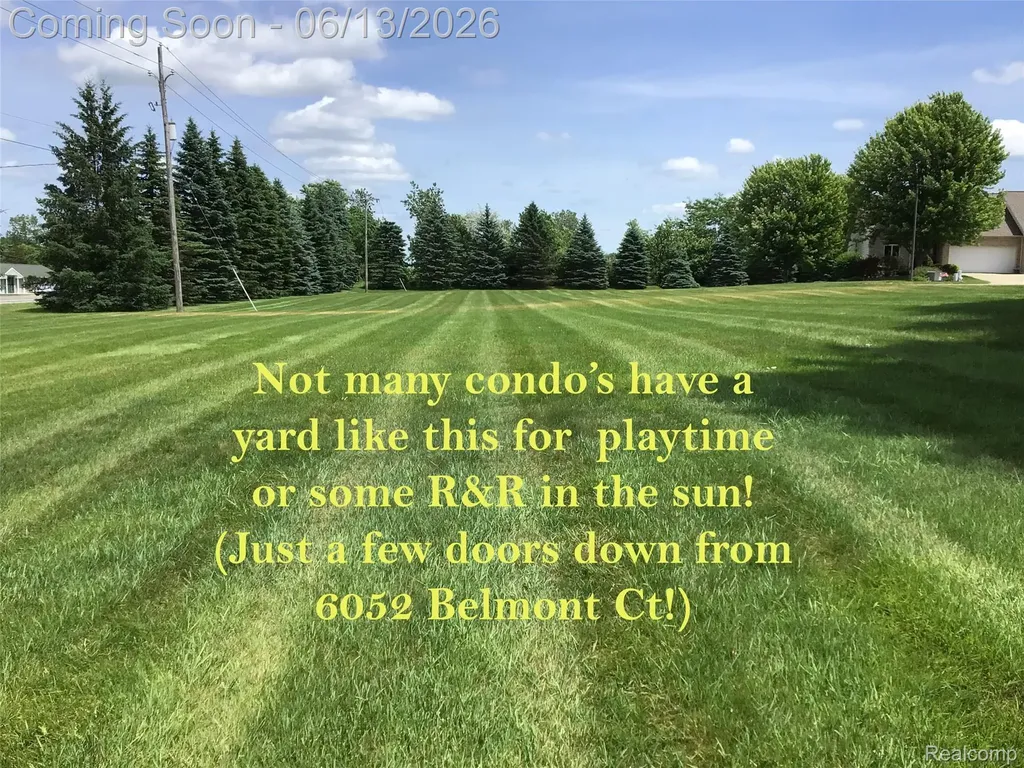 6052 Belmont Court Grand Blanc Charter Township MI 48439