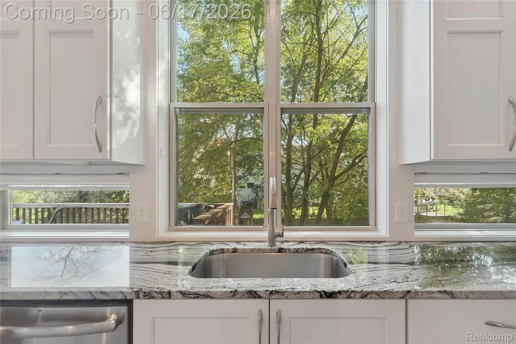 16939 Willowbrook Drive Bath Charter Township MI 48840