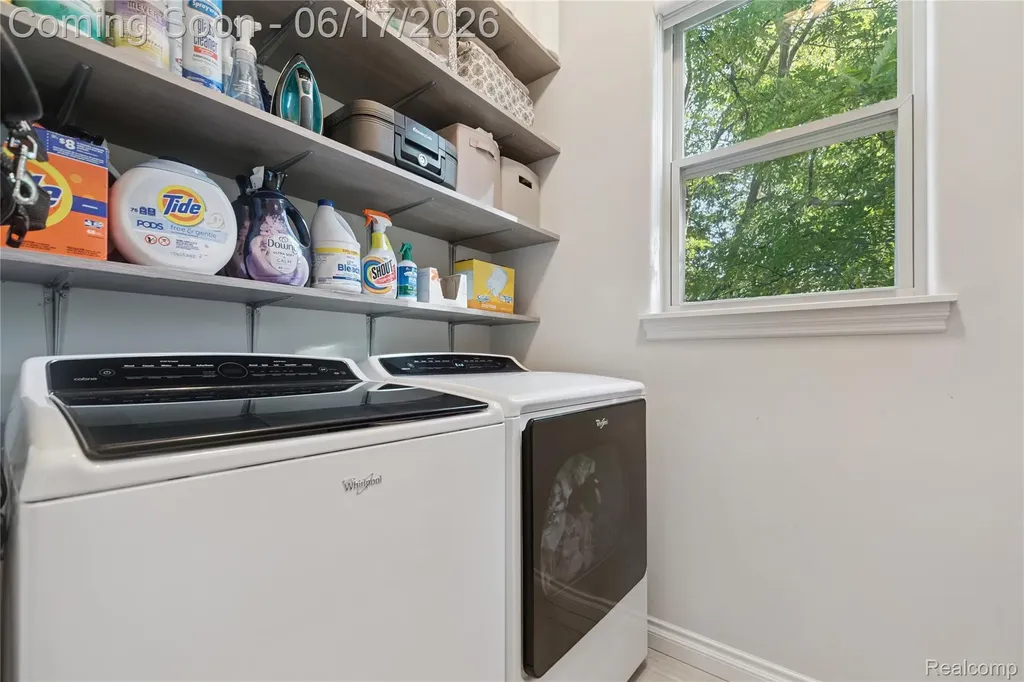16939 Willowbrook Drive Bath Charter Township MI 48840