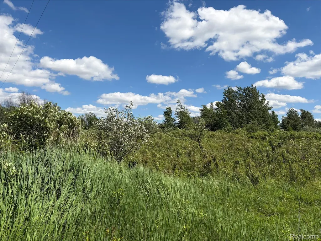 00 Murphy Lake Rich Township MI 48760