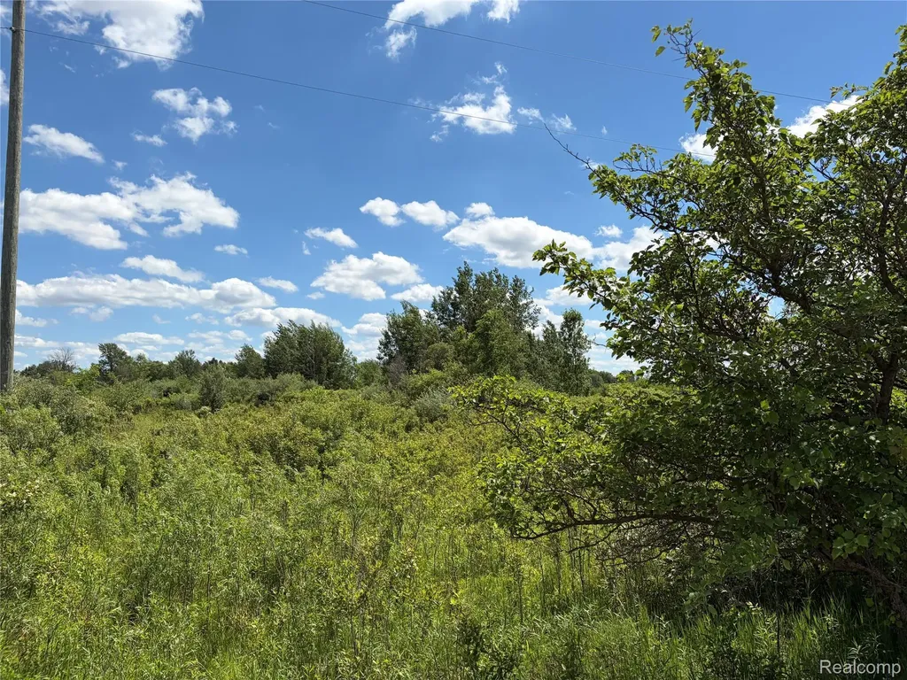 00 Murphy Lake Rich Township MI 48760