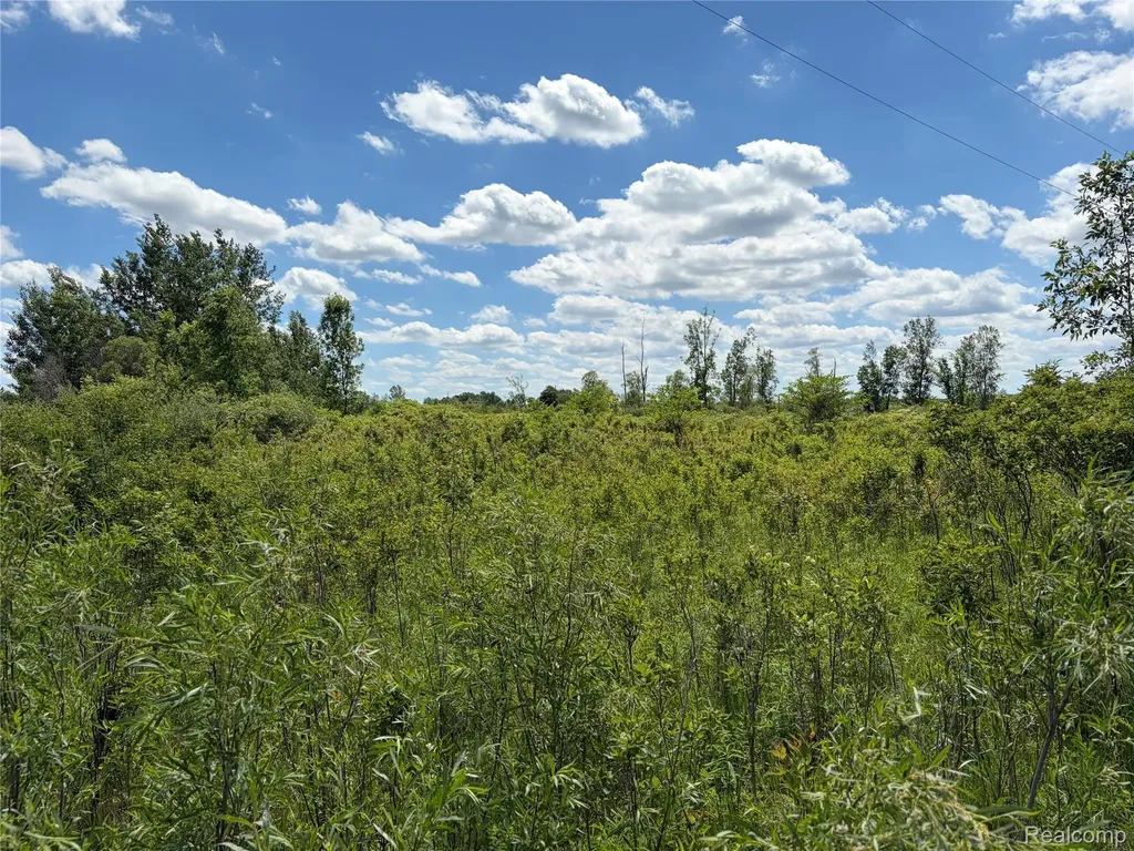 00 Murphy Lake Rich Township MI 48760