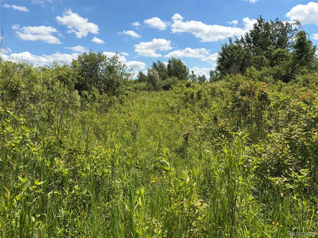 00 Murphy Lake Rich Township MI 48760