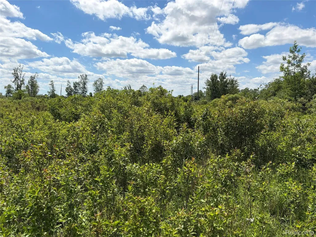 00 Murphy Lake Rich Township MI 48760