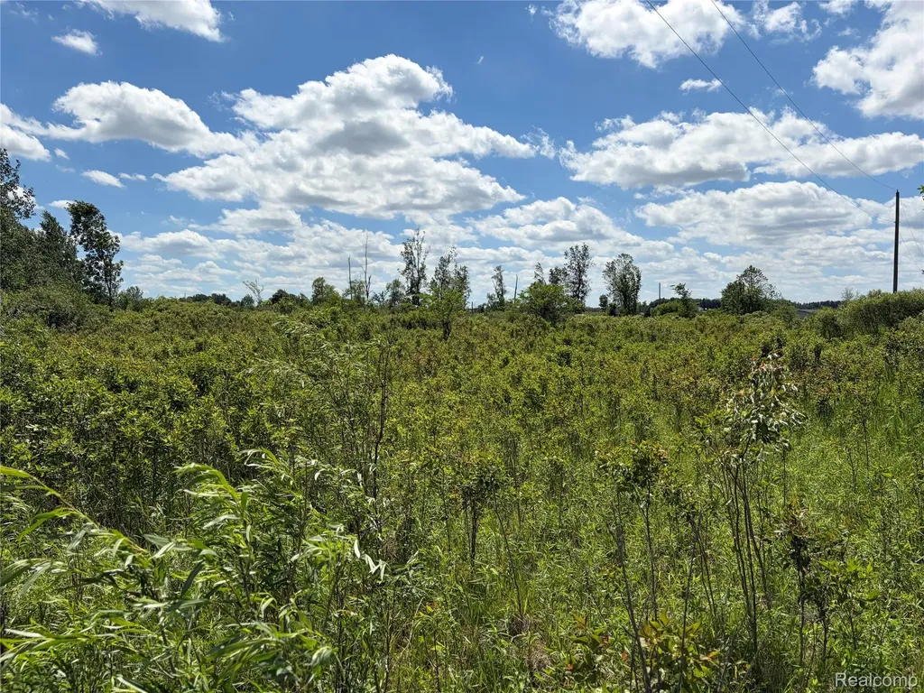 00 Murphy Lake Rich Township MI 48760