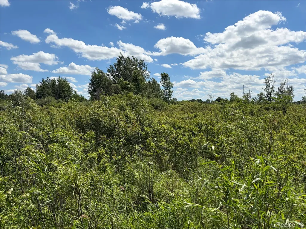 00 Murphy Lake Rich Township MI 48760