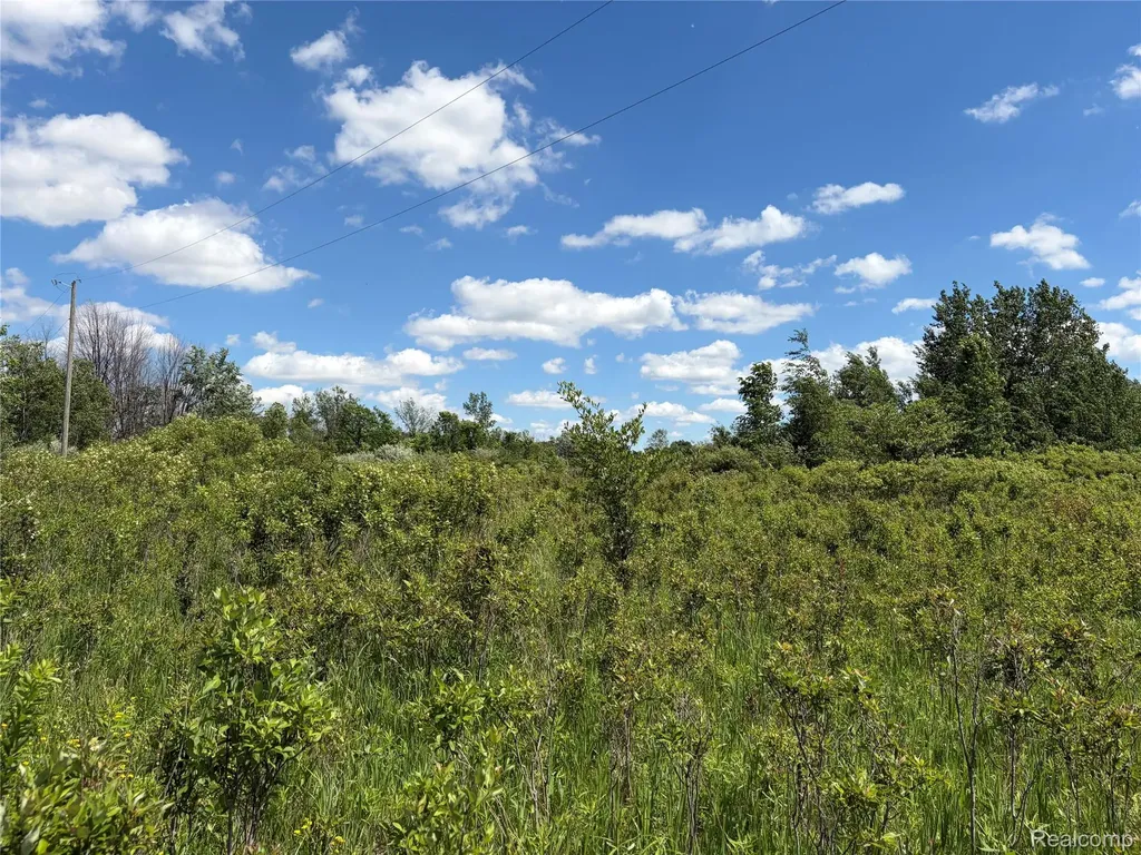 00 Murphy Lake Rich Township MI 48760