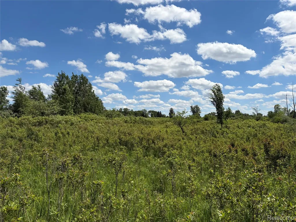 00 Murphy Lake Rich Township MI 48760