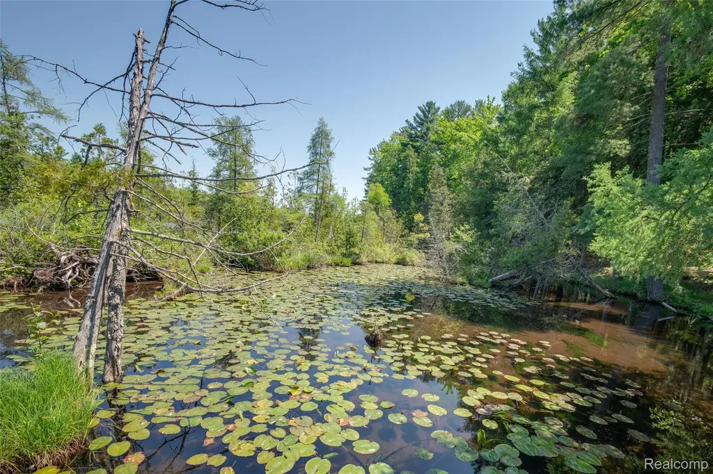 6954 Aarwood Trail NW Clearwater Township MI 49676
