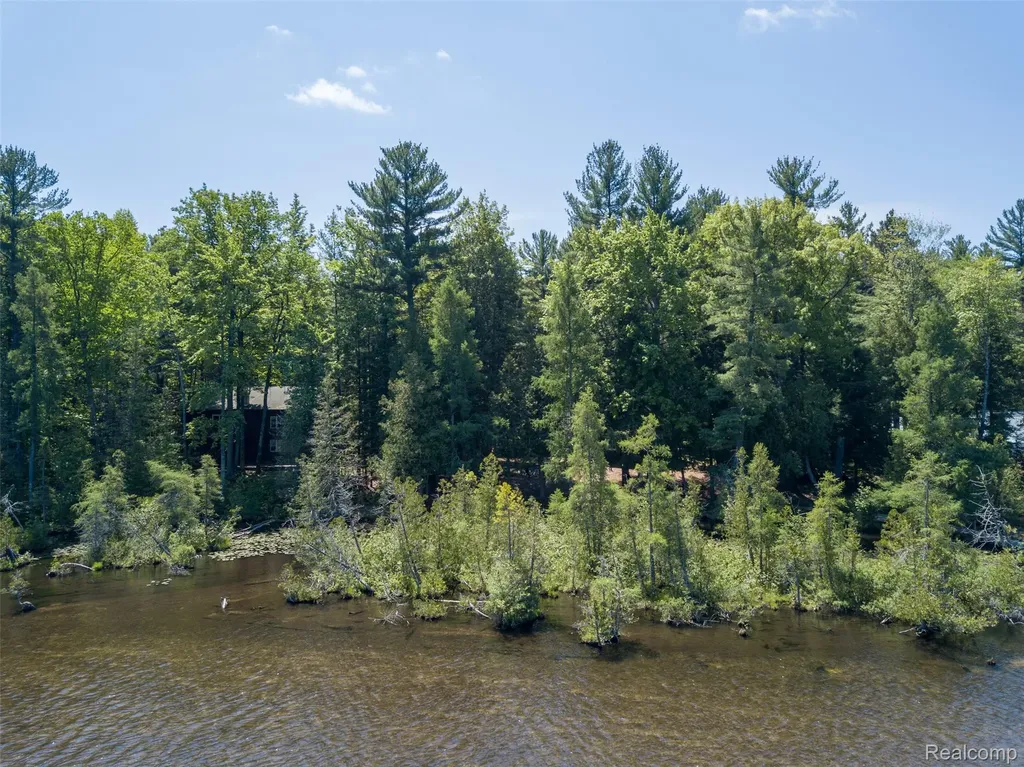 6954 Aarwood Trail NW Clearwater Township MI 49676
