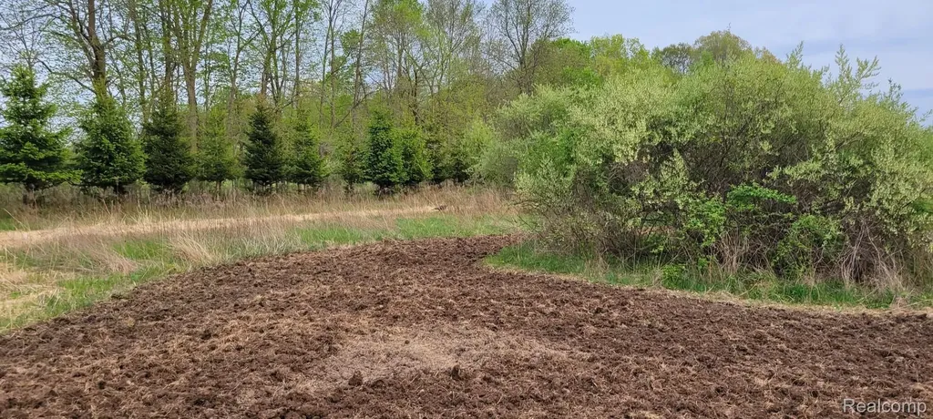 5785 Layton Road Howell Township MI 48836