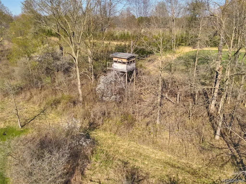 5785 Layton Road Howell Township MI 48836