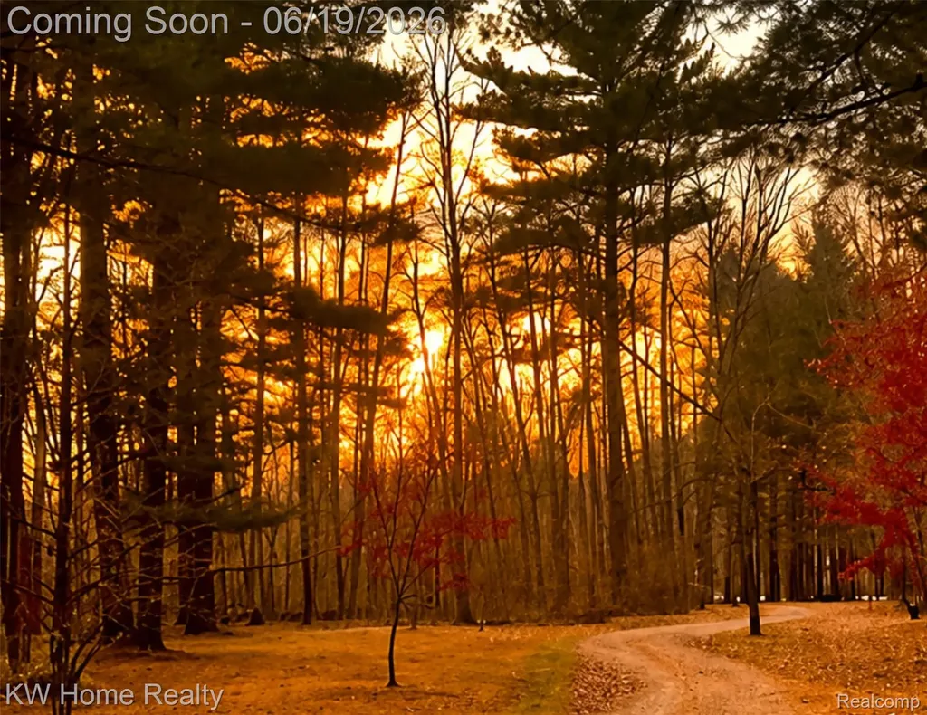 4474 Five Lakes Road North Branch Township MI 48461