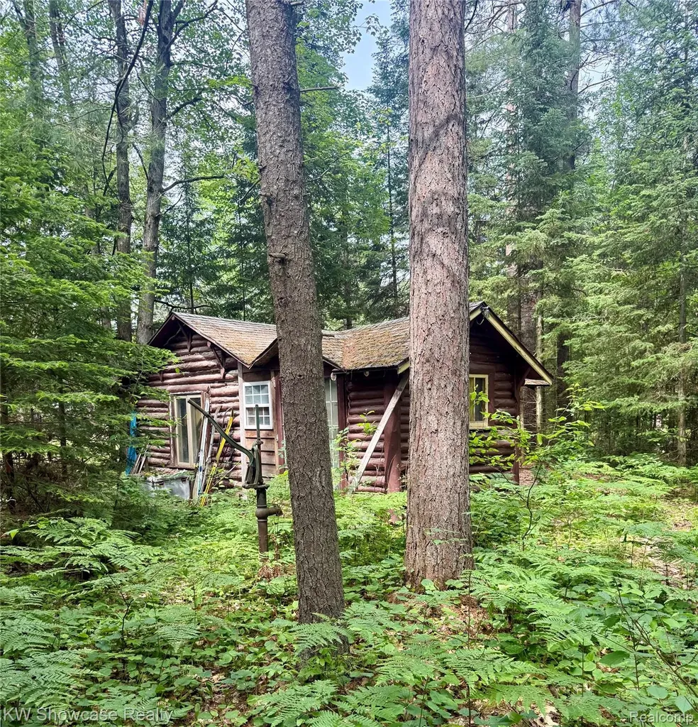 1340 Cauchy Road Mentor Township MI 48647