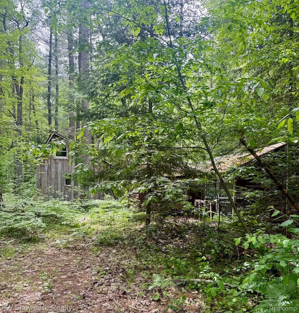 1340 Cauchy Road Mentor Township MI 48647