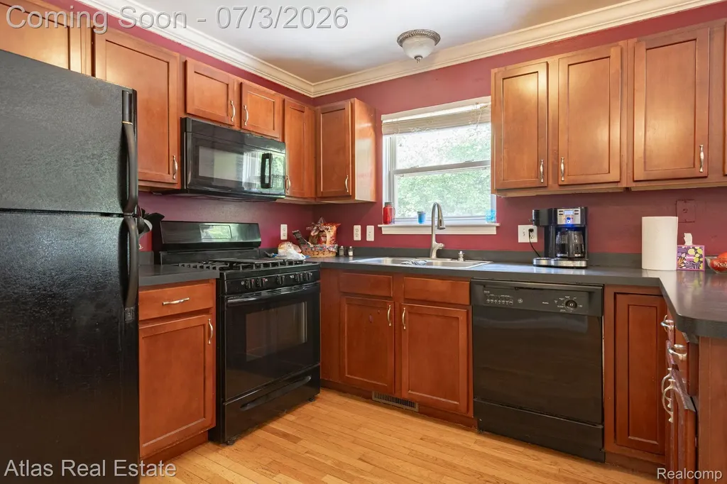 16166 Whitehead Drive Argentine Township MI 48451