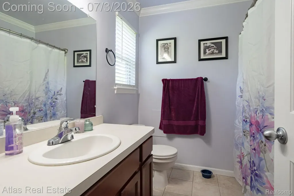 16166 Whitehead Drive Argentine Township MI 48451
