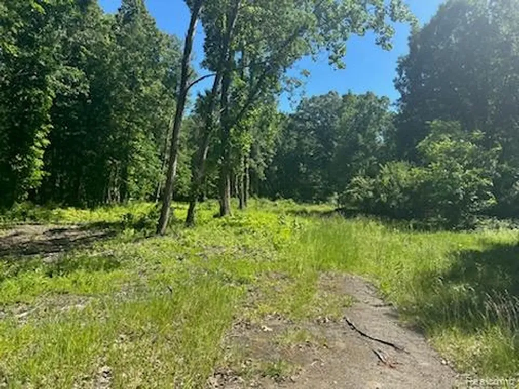 44735 Dunn Road Sumpter Township MI 48111