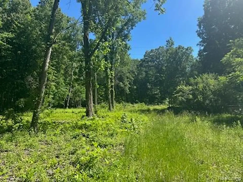 44735 Dunn Road Sumpter Township MI 48111