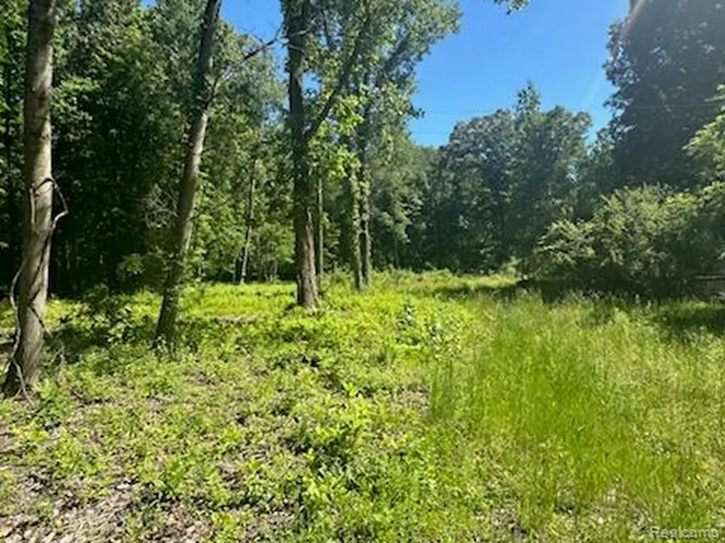 44735 Dunn Road Sumpter Township MI 48111