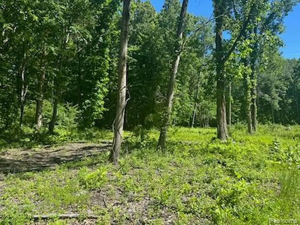 44735 Dunn Road Sumpter Township MI 48111