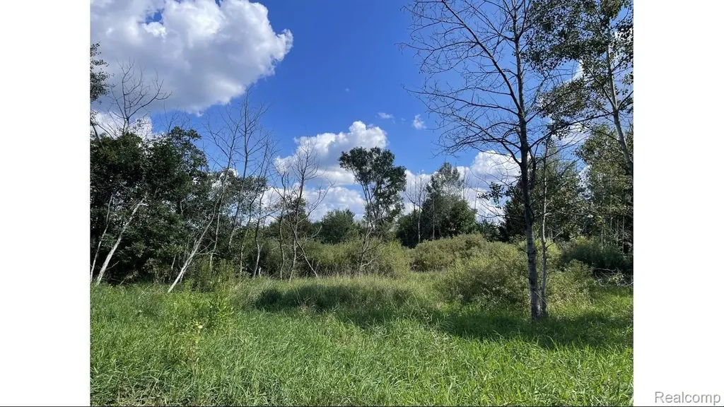 9507 Modena Farms Salem Township MI 48178