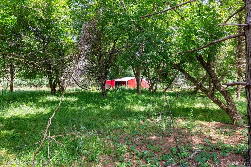 0000 Marys Lane Watertown Township MI 48435