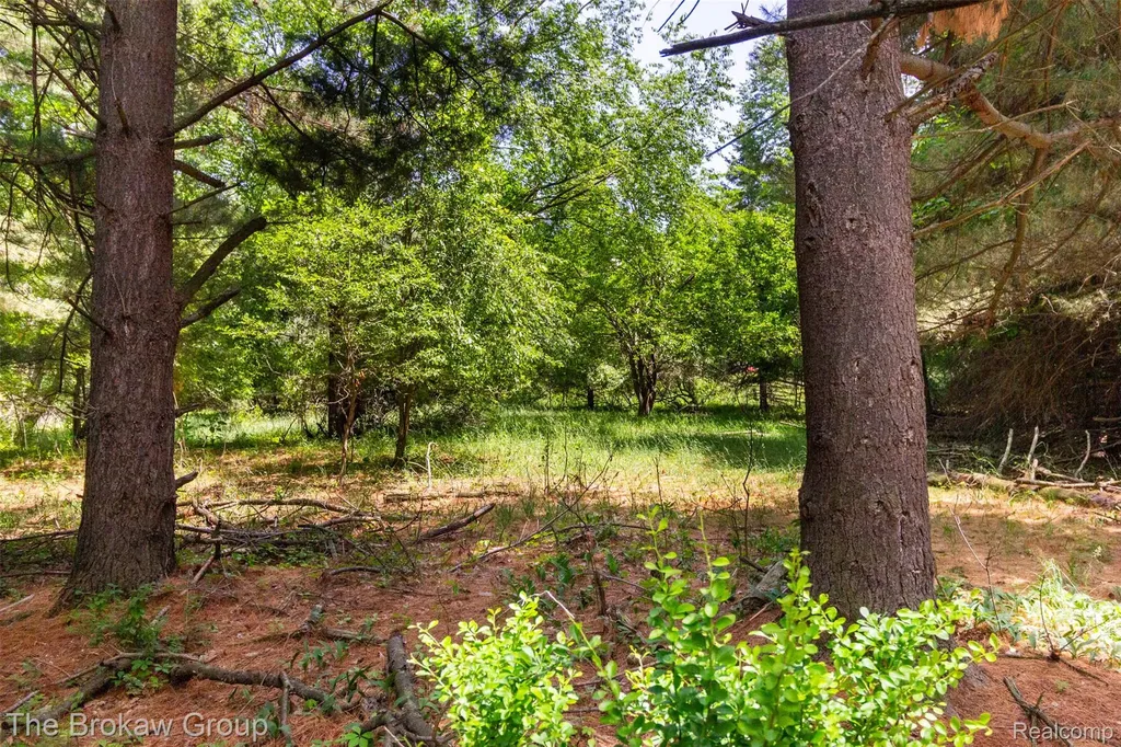 0000 Marys Lane Watertown Township MI 48435