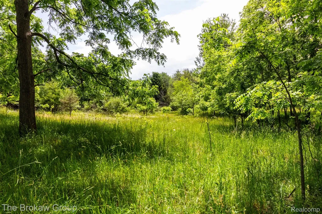 0000 Marys Lane Watertown Township MI 48435