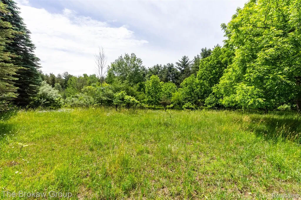 0000 Marys Lane Watertown Township MI 48435