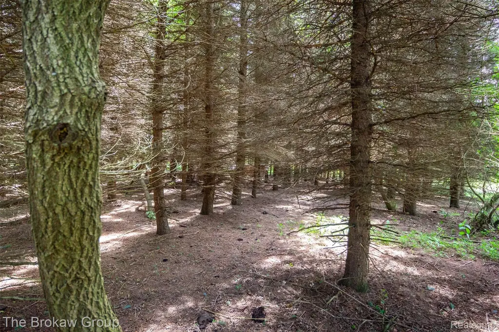 0000 Marys Lane Watertown Township MI 48435