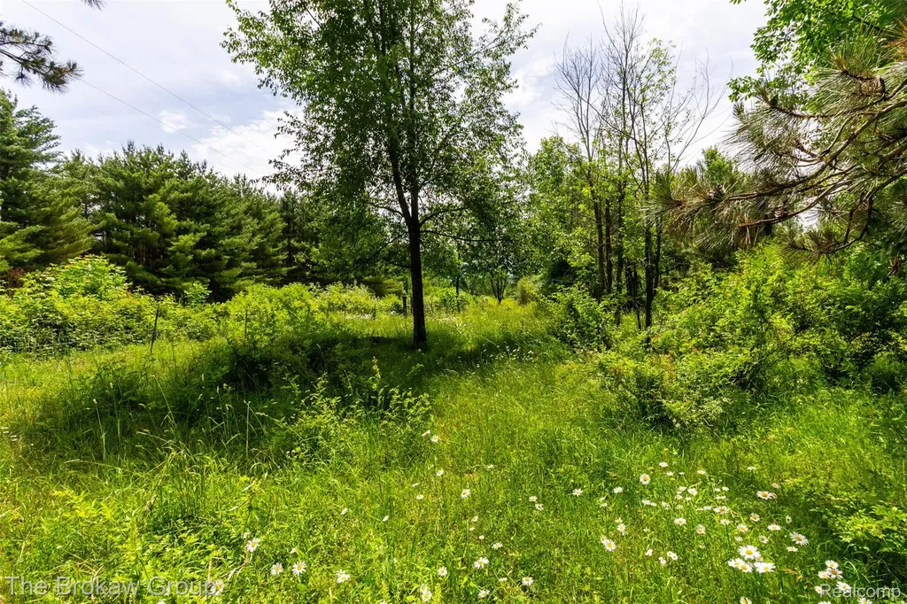 0000 Marys Lane Watertown Township MI 48435