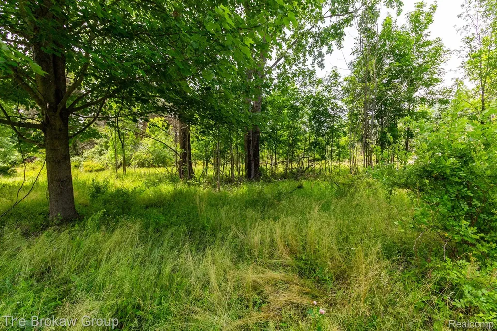 0000 Marys Lane Watertown Township MI 48435