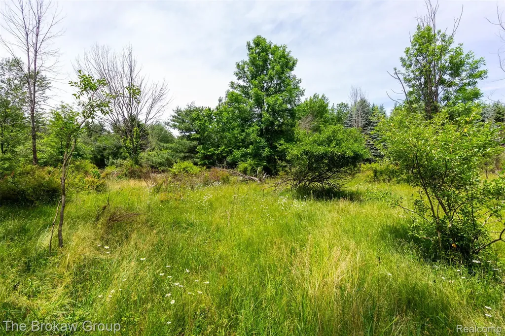 0000 Marys Lane Watertown Township MI 48435