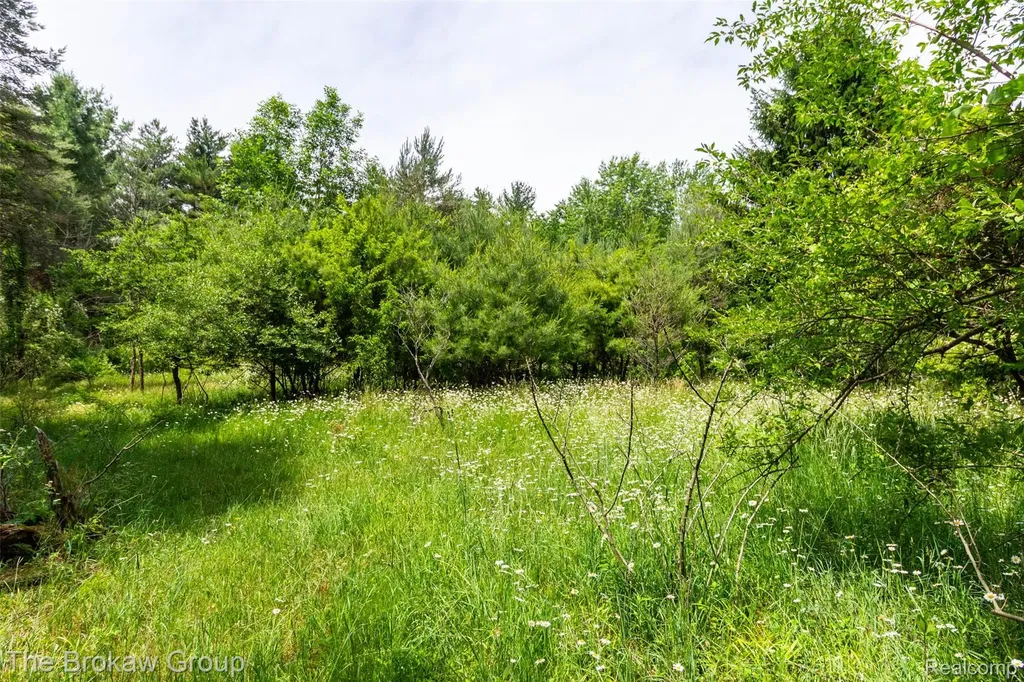 0000 Marys Lane Watertown Township MI 48435