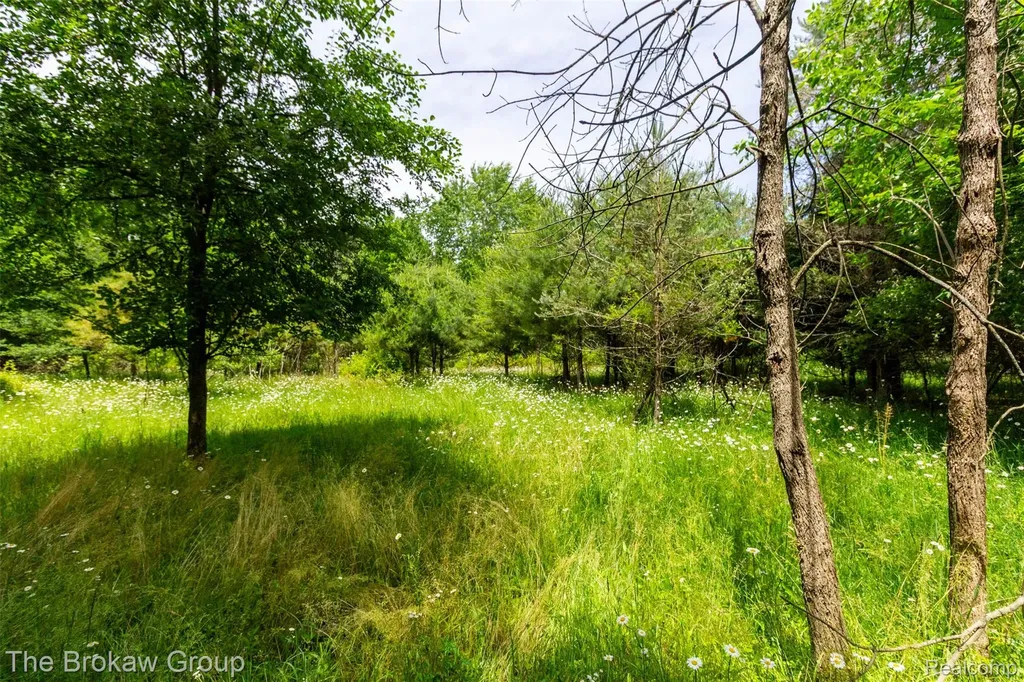 0000 Marys Lane Watertown Township MI 48435