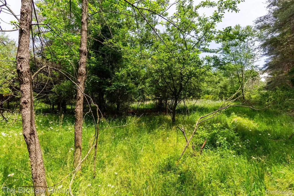 0000 Marys Lane Watertown Township MI 48435