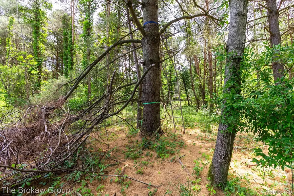 0000 Marys Lane Watertown Township MI 48435