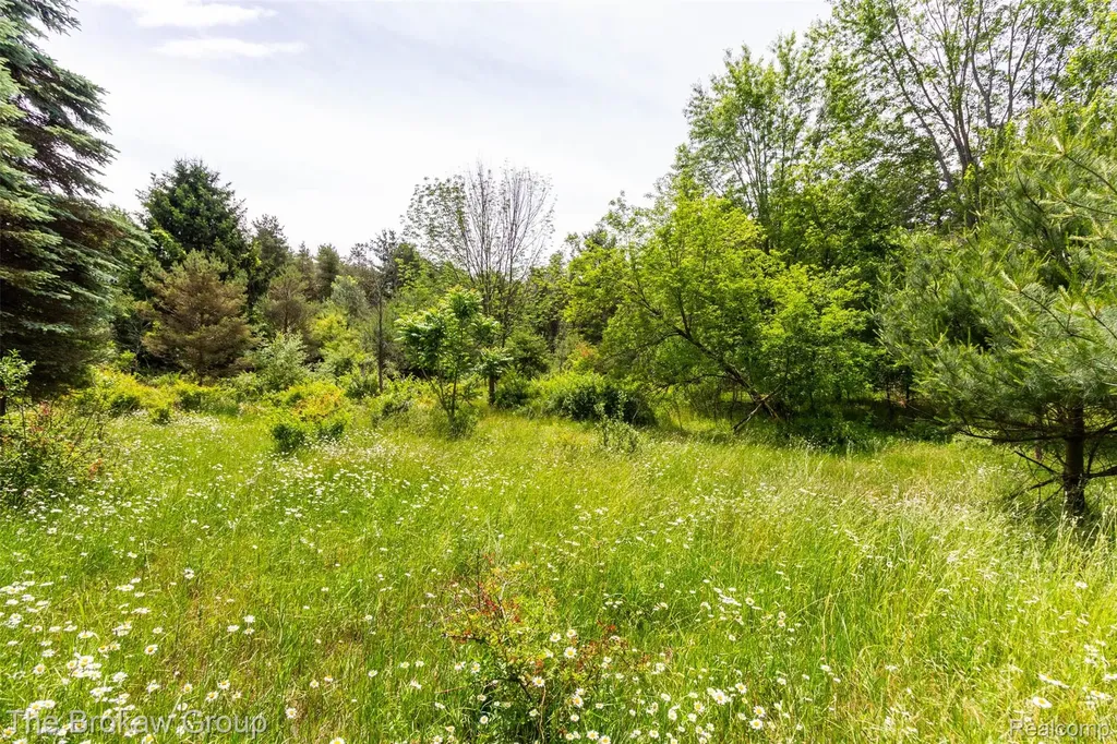 0000 Marys Lane Watertown Township MI 48435