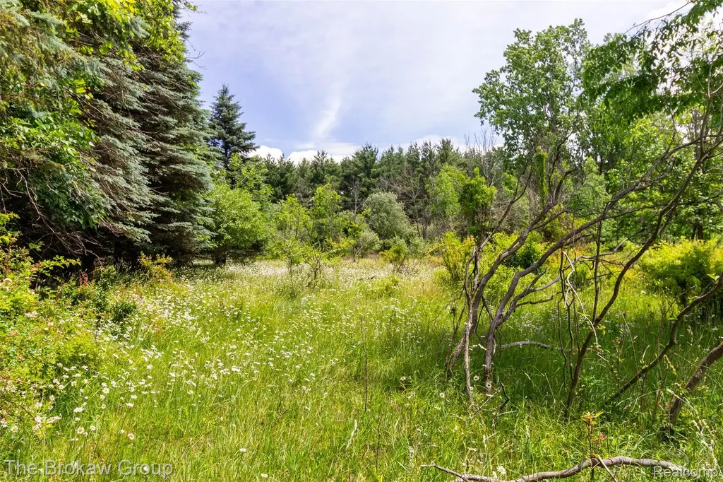 0000 Marys Lane Watertown Township MI 48435