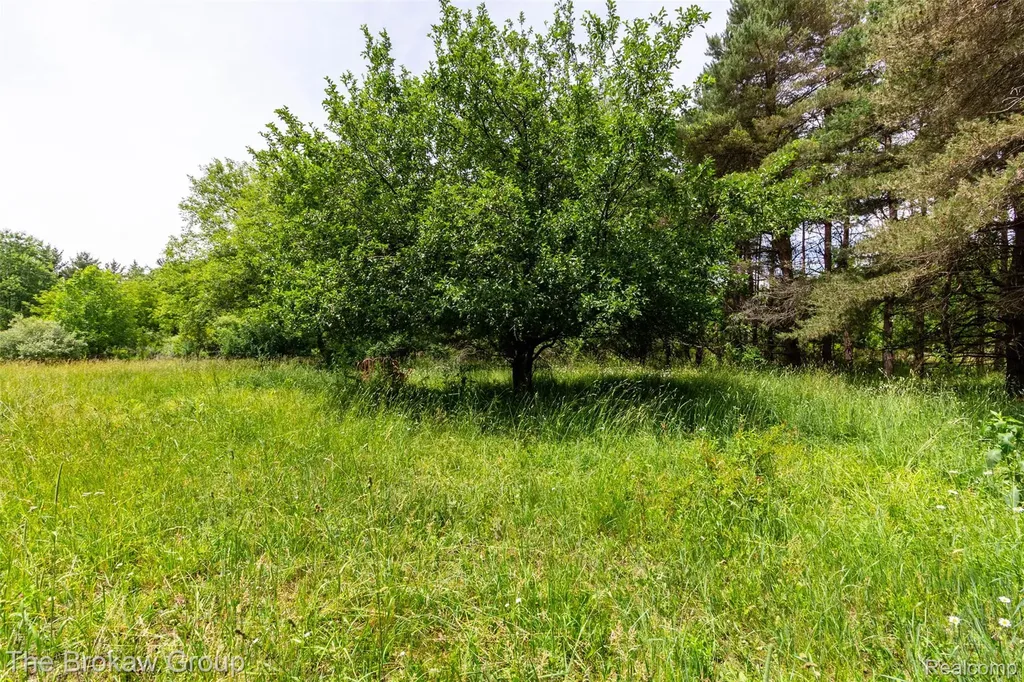 0000 Marys Lane Watertown Township MI 48435