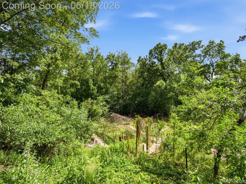 14478 Bouchner Drive Argentine Township MI 48451