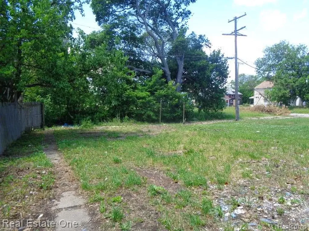 6031 Crane Street Detroit City MI 48213
