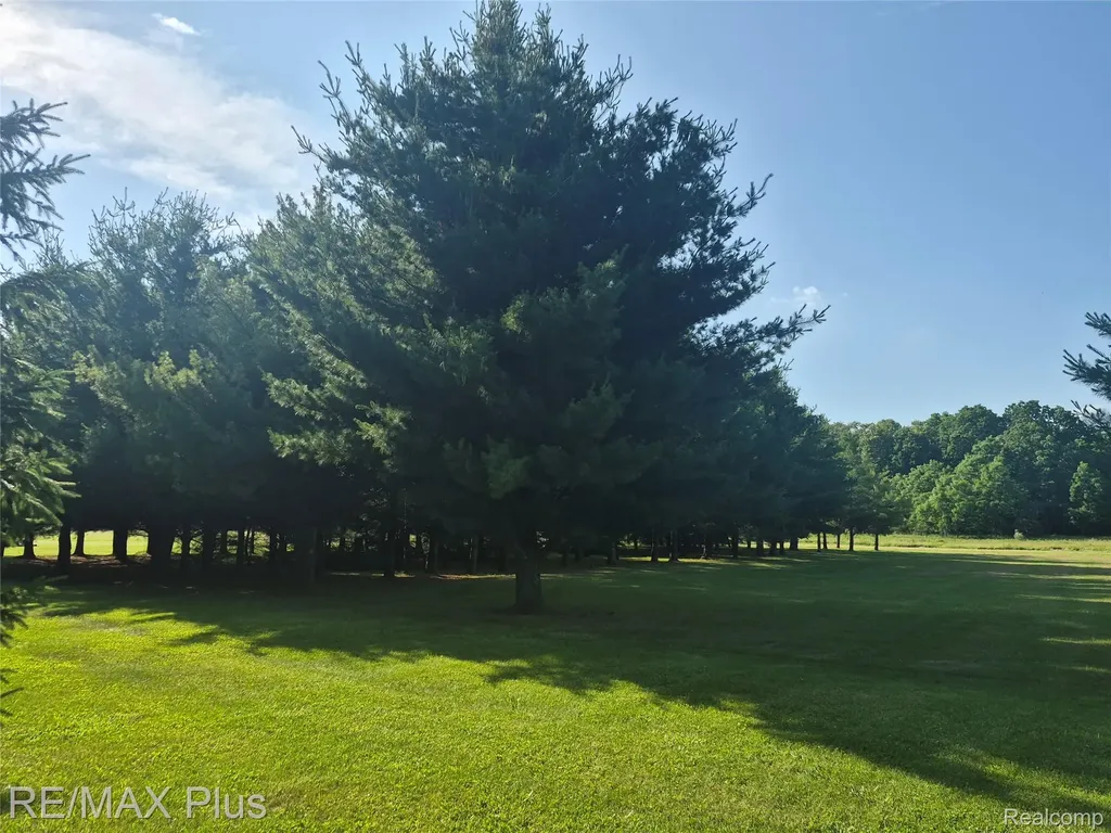 00 N Mill Road Dryden Township MI 48428