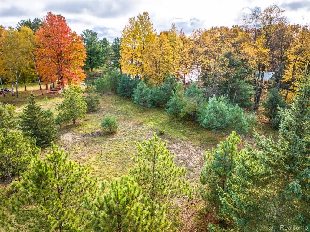 6310 Kilkenny Drive Morton Township MI 49346