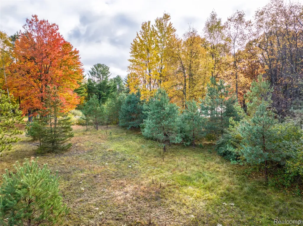 6310 Kilkenny Drive Morton Township MI 49346